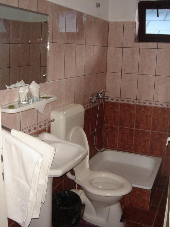 Vila Cristina Ceahlău Rom bilde